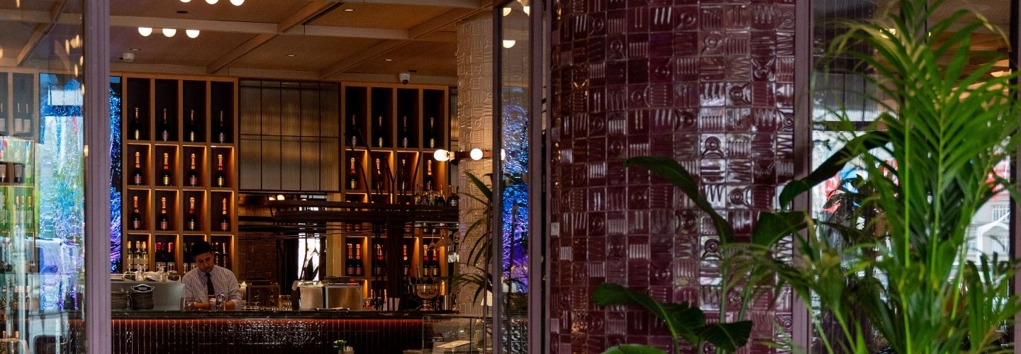Cafe Marmara interior with plants and a wine wall